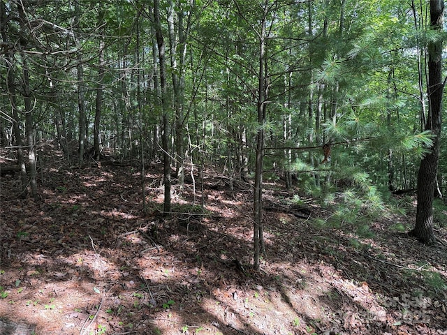TBD Deer Run Rd Unit 231, Purlear, NC 28665 - photo 17