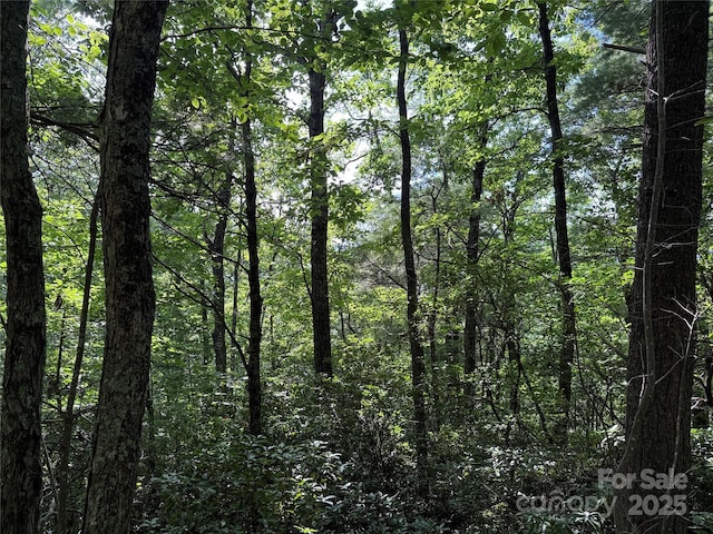 TBD Deer Run Rd Unit 231, Purlear, NC 28665 - photo 18