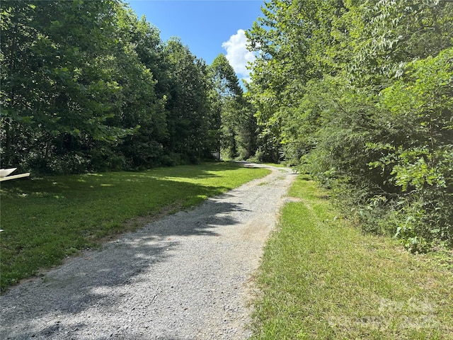 17 Hickory Acres Rd, Hendersonville, NC 28792 - photo 15