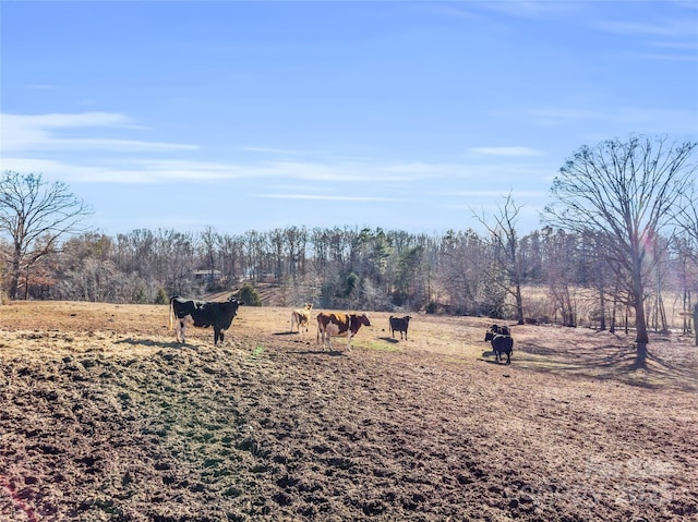126 Waters Rd, Bostic, NC 28018 - photo 33