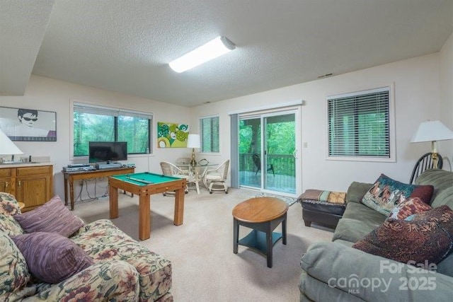 132 Fern Loop, Lake Lure, NC 28746 - photo 13