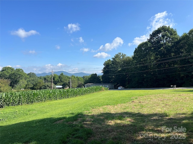 40 Country View Ln, Hendersonville, NC 28792 - photo 35