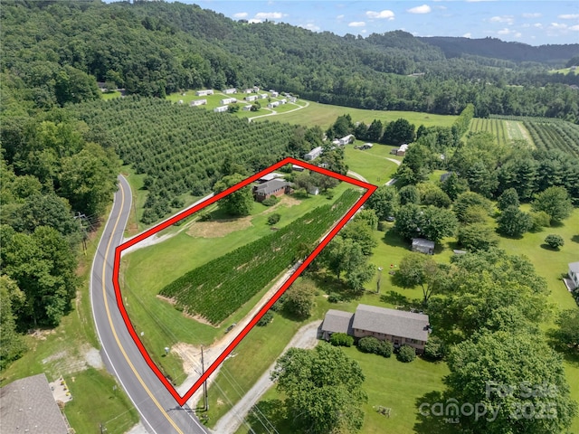 40 Country View Ln, Hendersonville, NC 28792 - photo 36