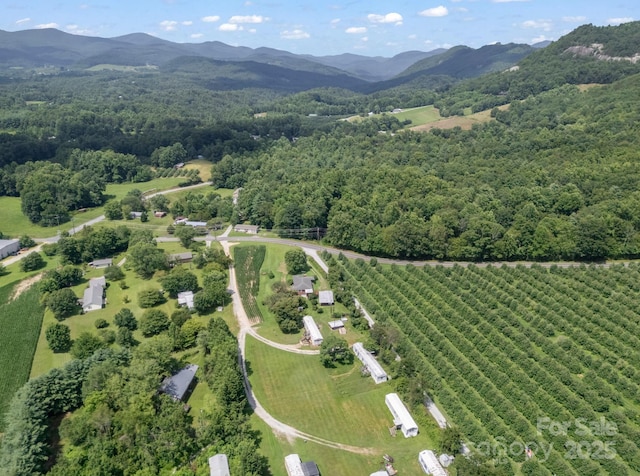 40 Country View Ln, Hendersonville, NC 28792 - photo 38