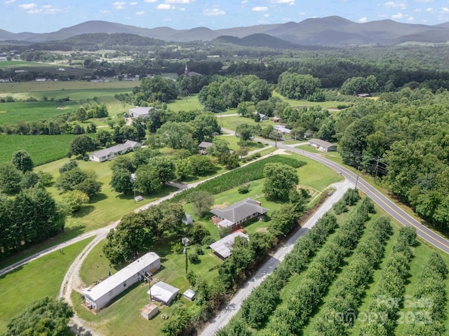 40 Country View Ln, Hendersonville, NC 28792 - photo 39
