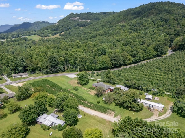 40 Country View Ln, Hendersonville, NC 28792 - photo 42