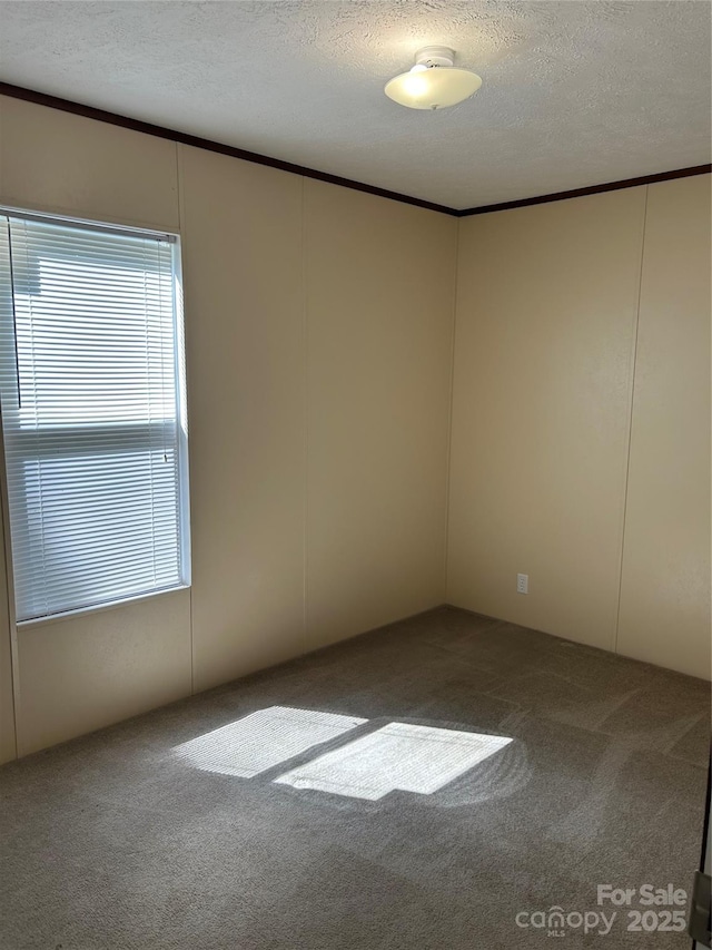 327 Bear Creek Rd, Blacksburg, SC 29702 - photo 11