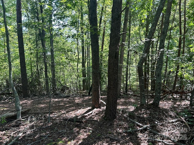 327 Bear Creek Rd, Blacksburg, SC 29702 - photo 14