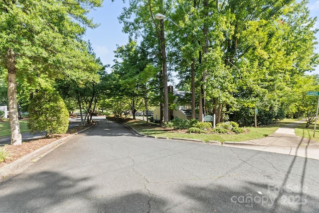 941 Sardis Cove Dr, Charlotte, NC 28270 - photo 22