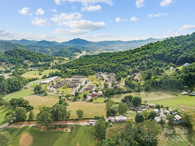 170 Styles Rd, Burnsville, NC 28714 - photo 45