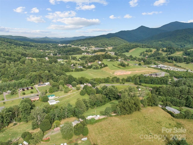 170 Styles Rd, Burnsville, NC 28714 - photo 46