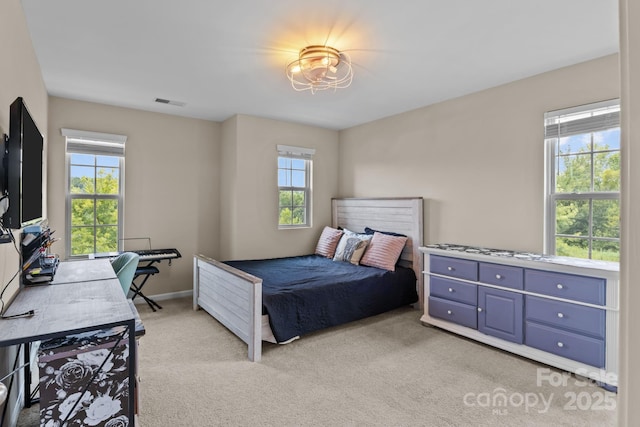 11340 Westbranch Pkwy, Davidson, NC 28036 - photo 31