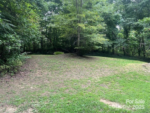 424 Sleepy Hollow Ln, Hendersonville, NC 28792 - photo 3