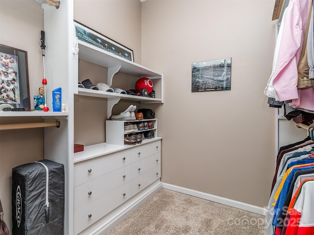 3060 Streamhaven Dr, Indian Land, SC 29707 - photo 17