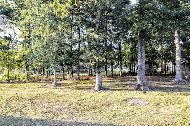 4304 Mara Ln, Monroe, NC 28110 - photo 18
