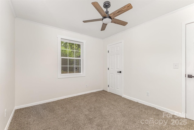 2733 Englehardt St, Charlotte, NC 28216 - photo 11