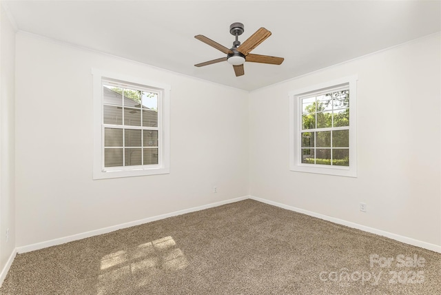 2733 Englehardt St, Charlotte, NC 28216 - photo 12