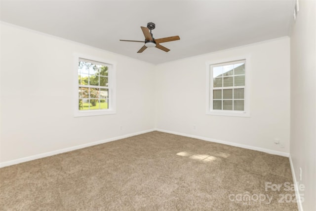2733 Englehardt St, Charlotte, NC 28216 - photo 16