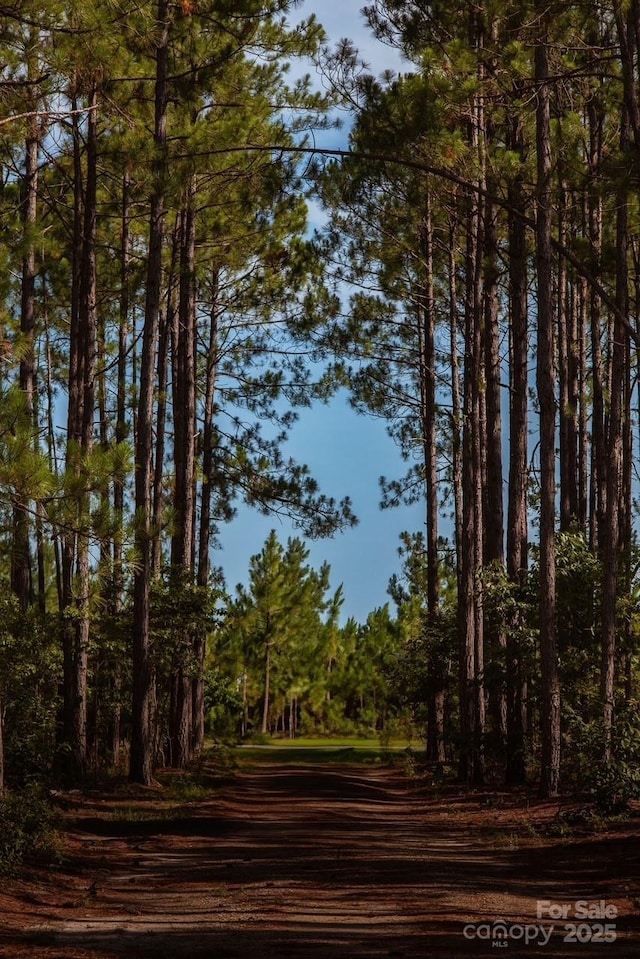 455 Davis Rd, Kershaw, SC 29067 - photo 7