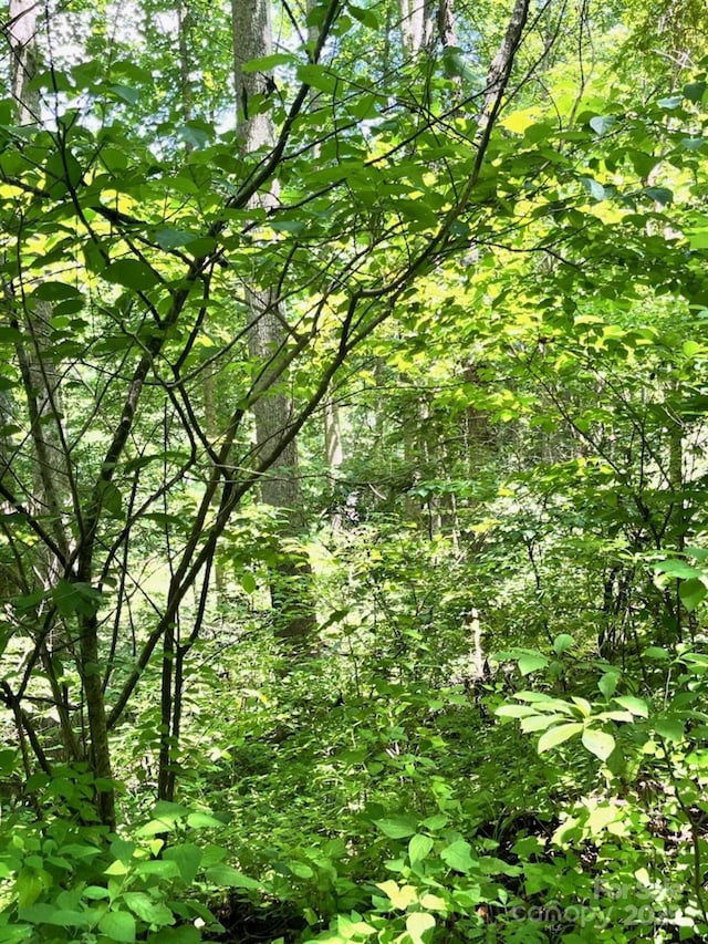 287 Indian Camp Creek Rd, Hot Springs, NC 28743 - photo 1