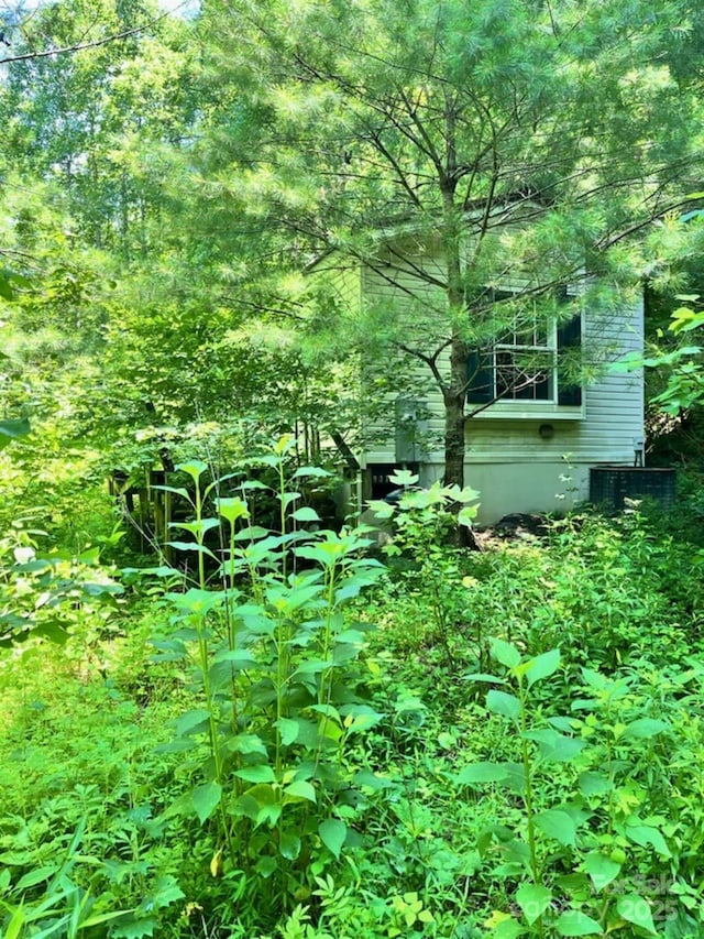 287 Indian Camp Creek Rd, Hot Springs, NC 28743 - photo 2