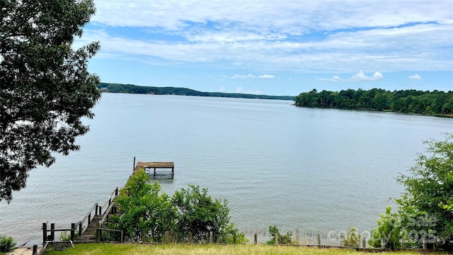2298 Singleton Creek Rd, Liberty Hill, SC 29074 - photo 14