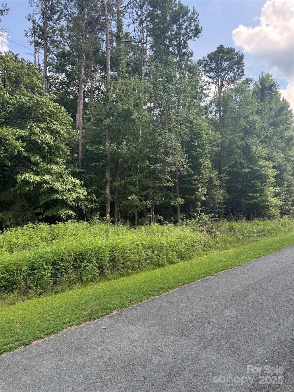 00 Raymond Helms Rd, Waxhaw, NC 28173 - photo 1