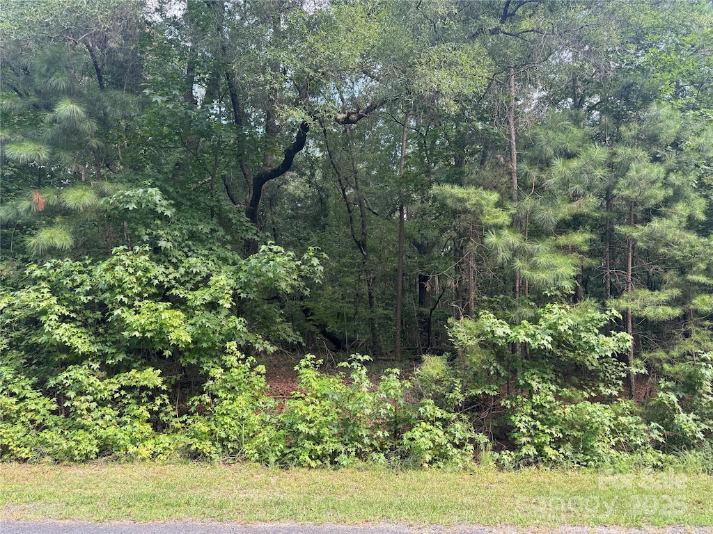 00 Raymond Helms Rd, Waxhaw, NC 28173 - photo 2