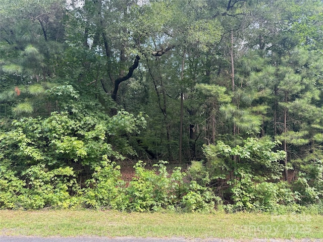 00 Raymond Helms Rd, Waxhaw, NC 28173 - photo 2