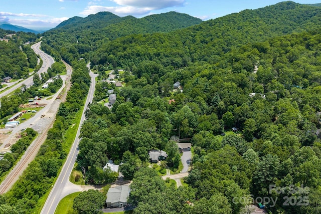75 Craven Hill Cir, Black Mountain, NC 28711 - photo 30