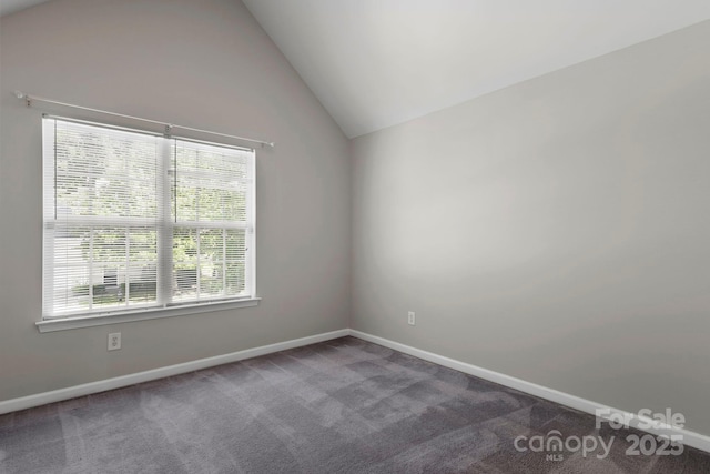 5737 Brookfield Pointe Dr, Charlotte, NC 28216 - photo 19