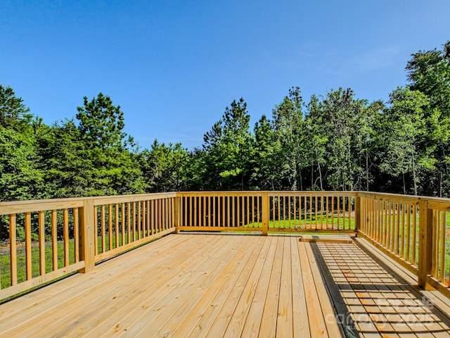 204 Caldwell St, Forest City, NC 28043 - photo 29