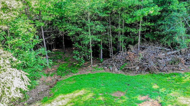 204 Caldwell St, Forest City, NC 28043 - photo 34