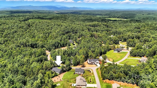 1739 Plantation Loop, Morganton, NC 28655 - photo 36