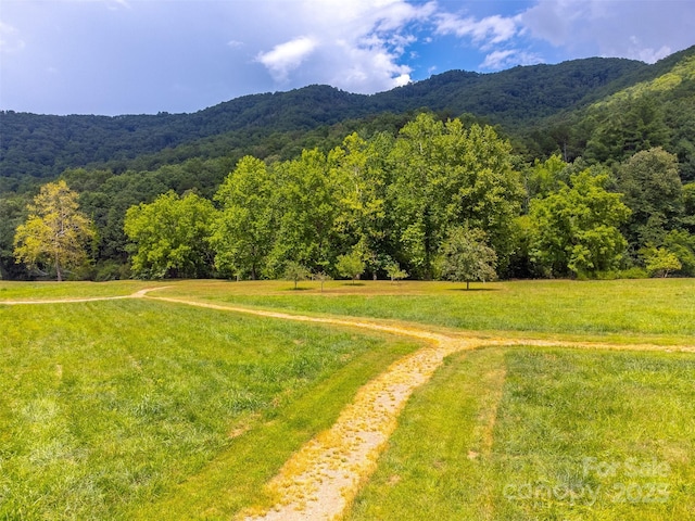 7 N Sundrops Trl, Cullowhee, NC 28723 - photo 37