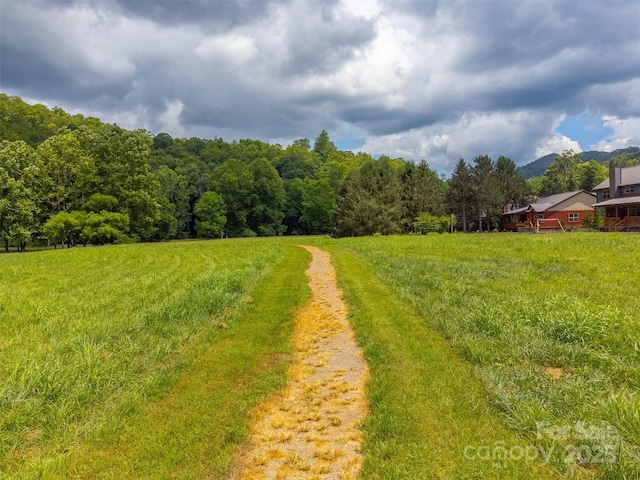 7 N Sundrops Trl, Cullowhee, NC 28723 - photo 38