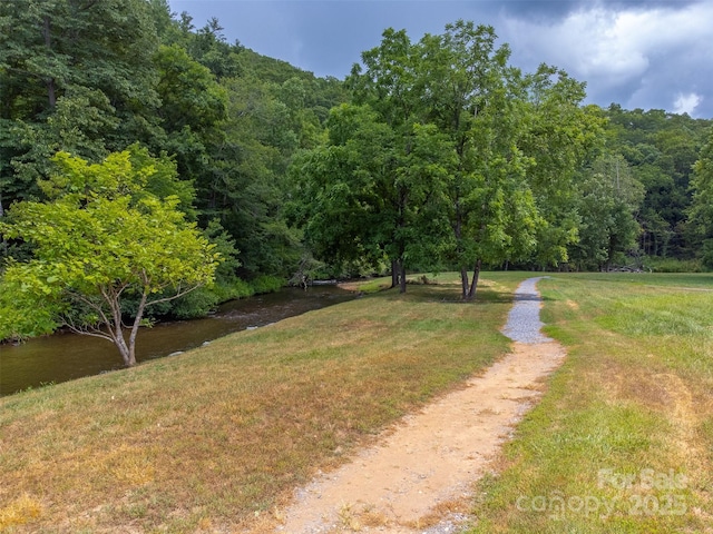7 N Sundrops Trl, Cullowhee, NC 28723 - photo 39