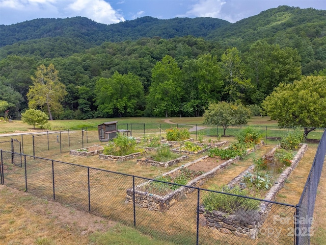7 N Sundrops Trl, Cullowhee, NC 28723 - photo 44