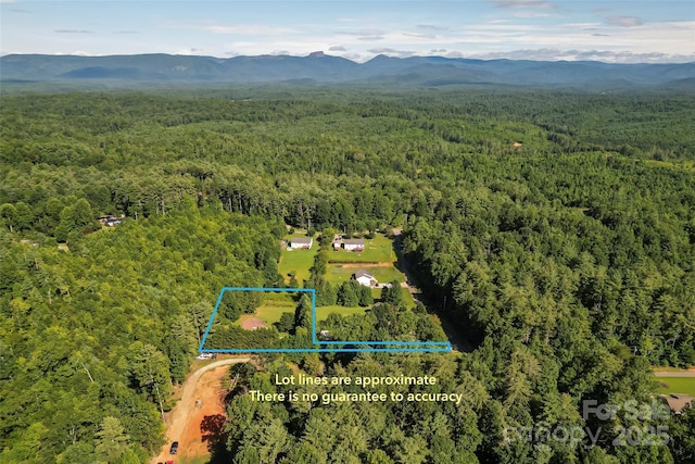 2807 Hollybrook Ln, Morganton, NC 28655 - photo 23