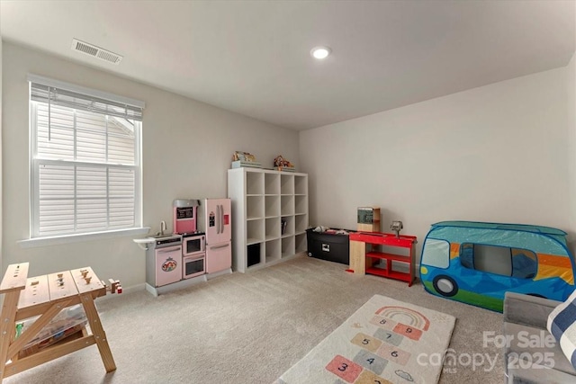 5542 Soft Shell Dr, Lancaster, SC 29720 - photo 26