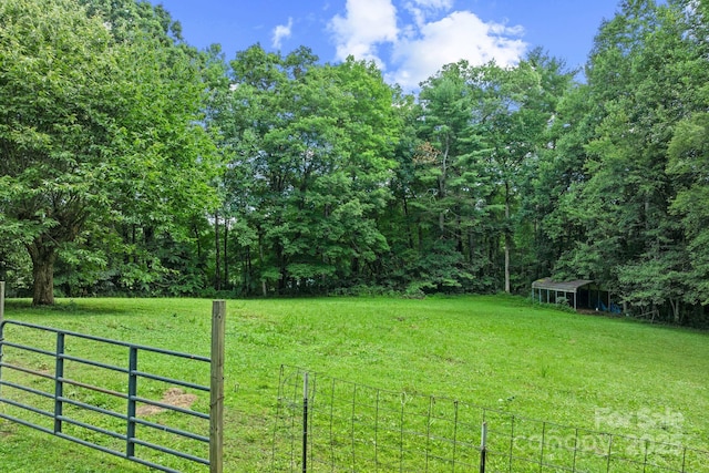 41 Hilton Dr, Brevard, NC 28712 - photo 9