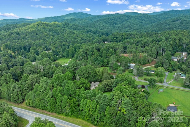 41 Hilton Dr, Brevard, NC 28712 - photo 29