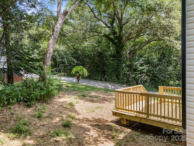 905 Elizabeth Ave, Albemarle, NC 28001 - photo 28