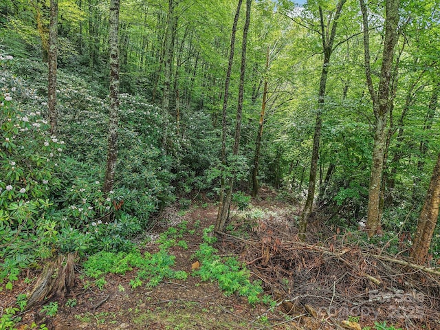 3514 Black Rock Rd, Cherokee, NC 28719 - photo 44