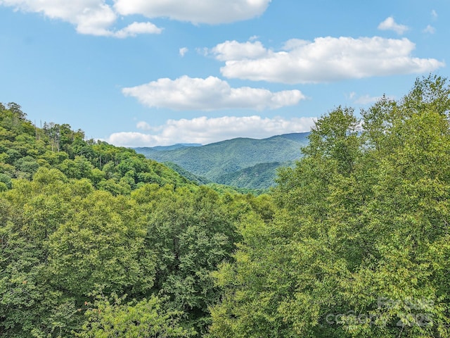 3514 Black Rock Rd, Cherokee, NC 28719 - photo 45
