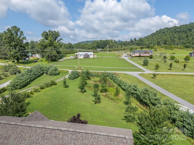 1878 Old Clear Creek Rd, Hendersonville, NC 28792 - photo 38