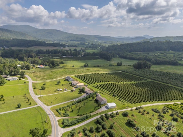 1878 Old Clear Creek Rd, Hendersonville, NC 28792 - photo 42