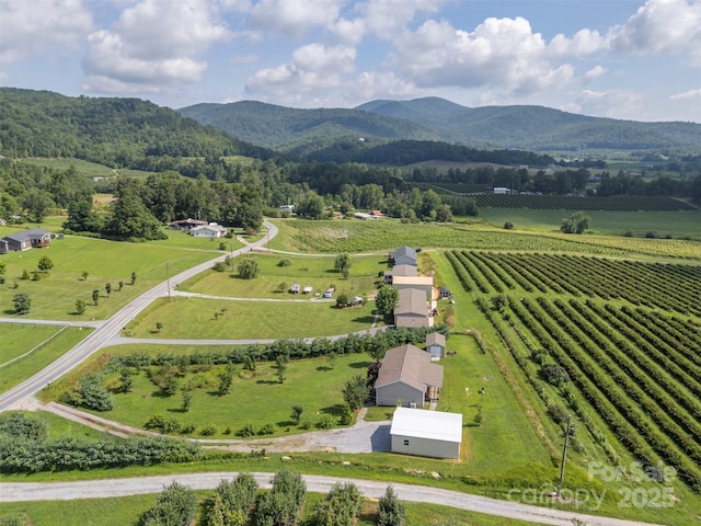 1878 Old Clear Creek Rd, Hendersonville, NC 28792 - photo 43