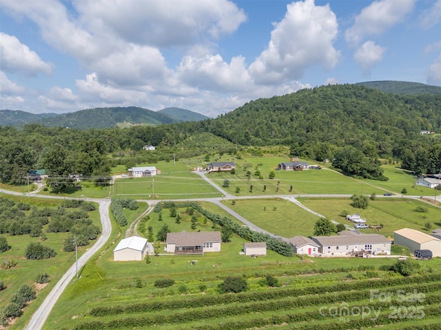 1878 Old Clear Creek Rd, Hendersonville, NC 28792 - photo 44