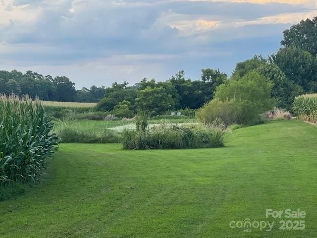 3513 Gilboa Rd, Marshville, NC 28103 - photo 13